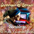 Anthropos Stream 12020HE