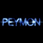 Introspect Recordings 10 DJ Peymon Summer of House Mix