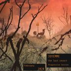 JOYEMME - the Last Resort . PROGRESSIVE SESSION - February 2020