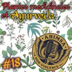 Ahimsa #18 – Plantes médicinales et Ayurvéda