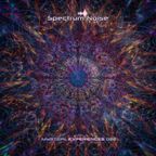 Spectrum Noise - Mystical Experiences 022