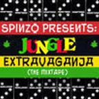 Spinzo Presents: Jungle ExtravaGanja (the mix)