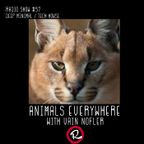 Animals Everywhere #57 w. Vain Nofler