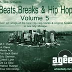 BEATS, BREAKS AND HIP HOP - Volume 5. The 80's Soul edt