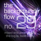 The Background Flow 29