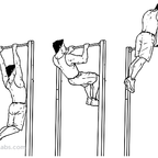 MAOLAM MUSCLE UP BAR