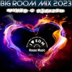 Big Room EDM Mix 2023 (Mixed @ DJvADER)