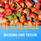 Mescolanze - Massimiliano Troiani Settembre 2022