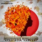 DJ Angel B! Presents: Soulfrica Vibecast (Episode XCV) Afro-Soul Harvest