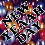 NEW YEAAH DAY (DNB / ALL VINYL) 01.01.09
