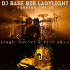 Synergy Vol 16 - DJ Base b2b LadyLight - Jungle Forever & Ever Amen