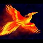 Cem aka Toerkish - Firebird (26.05.2020)