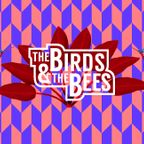 Kalle Kuts (G.I. Disco/Berlin) at The Birds & The Bees Season Closing 2018