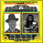 Typhoon Sound & Ninja Ryders Sound Presents When Dance Did Nice 13 U-Roy Meets Bunny Wailer