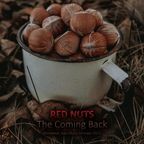 The Coming Back (Breakbeat Mixtape 2022)