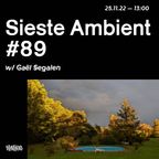 Sieste Ambient #89 w/ Gaël Segalen