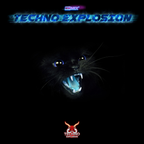 Techno Explosion Exclusive QLR049 | X-RAUM