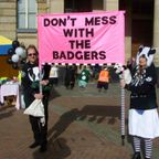 Anti Badger Cull March Birmingham, February 2014 - Part 1