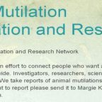 A closer look at animal mutilations - in conversation with Margie Kay