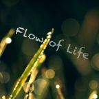 Euphoric Dreams 2: Flow of Life [Progressive Trance Mix]