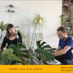 PLUIES live with plants ft. Strapontin [Live] - 6/05/20