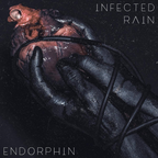 Interview with the band Infected Rain
