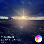 Leap & Dance Mix 9