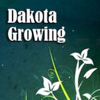 Dakota Growing Ep. 27 - Landscaping Tips and Troubles