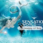 Sensation World - Deejay Lil`Boy Mix 2010.11.10