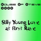2009 House Of Steve: Silly Young Love At First Rave
