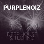 Deep House Techno Jaydee Paperclip People Marshall Jefferson Frankie Bones DJ Purplenoiz