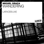 Miguel Graça - Wandering #8 2022-09-21