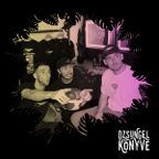 Steppers Club at Dzsungel Konyve 2023.09.12