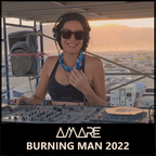 BURNING MAN 2022 - The Altitude Lounge - AMARE