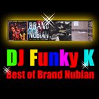 Dj Funky K - Best of Brand Nubian - Liveset Mix 2009