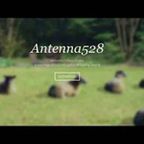 antenna528 live stream