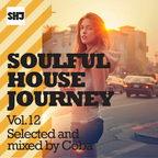 Soulful House Journey Vol. 12