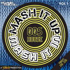 Mash It Up Mash It In - 00s House: Volume 1 (DJ Shai Guy)