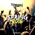 Spring 2018 // Current R&B, Hip Hop, House, Pop & U.K Rap // Instagram: djblighty