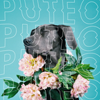 PUTEO - Summer Dancers