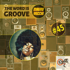 THE WORD IS GROOVE #45 (Radio RapTZ)