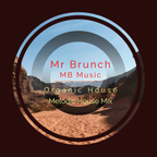 Organic House/Melodic House Mix Vol 24