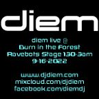 diem live at Ravebots at Burn in the Forest 9:16:22 130-3am