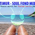 djtimur.com - soul fond mix 12 (nice house music for faxing berlin people) [Deadmau5 Tribute]