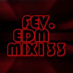 FEV. EDM Mix 133