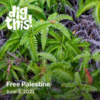 Dig This! Free Palestine Fundraiser (6/3/21)
