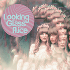 Morning Glory with Looking Glass Alice (24/04/2023)