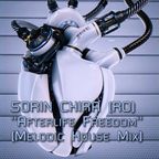 SORIN CHIRA (RO) ''Afterlife Freedom'' (Melodic House Mix)