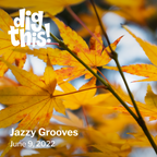 Dig This! Jazzy Grooves (6/9/22)