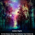 Ambient Nights - It's Not Always About The Butterfly That Flutters By